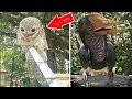 ¿ACASO Estas AVES Son REALES? | Las AVES Mas EXTRAÑAS y EXÓTICAS Del Planeta.🦉🦅