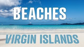 Celebrity 5 Beaches I Visited in Virgin Islands National Park on St. John Net Worth