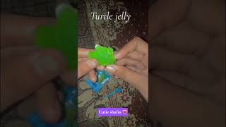 turtle jelly 🐢