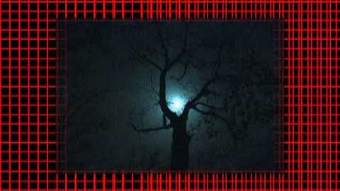 Adeodat Warfield - Across The Night Sky