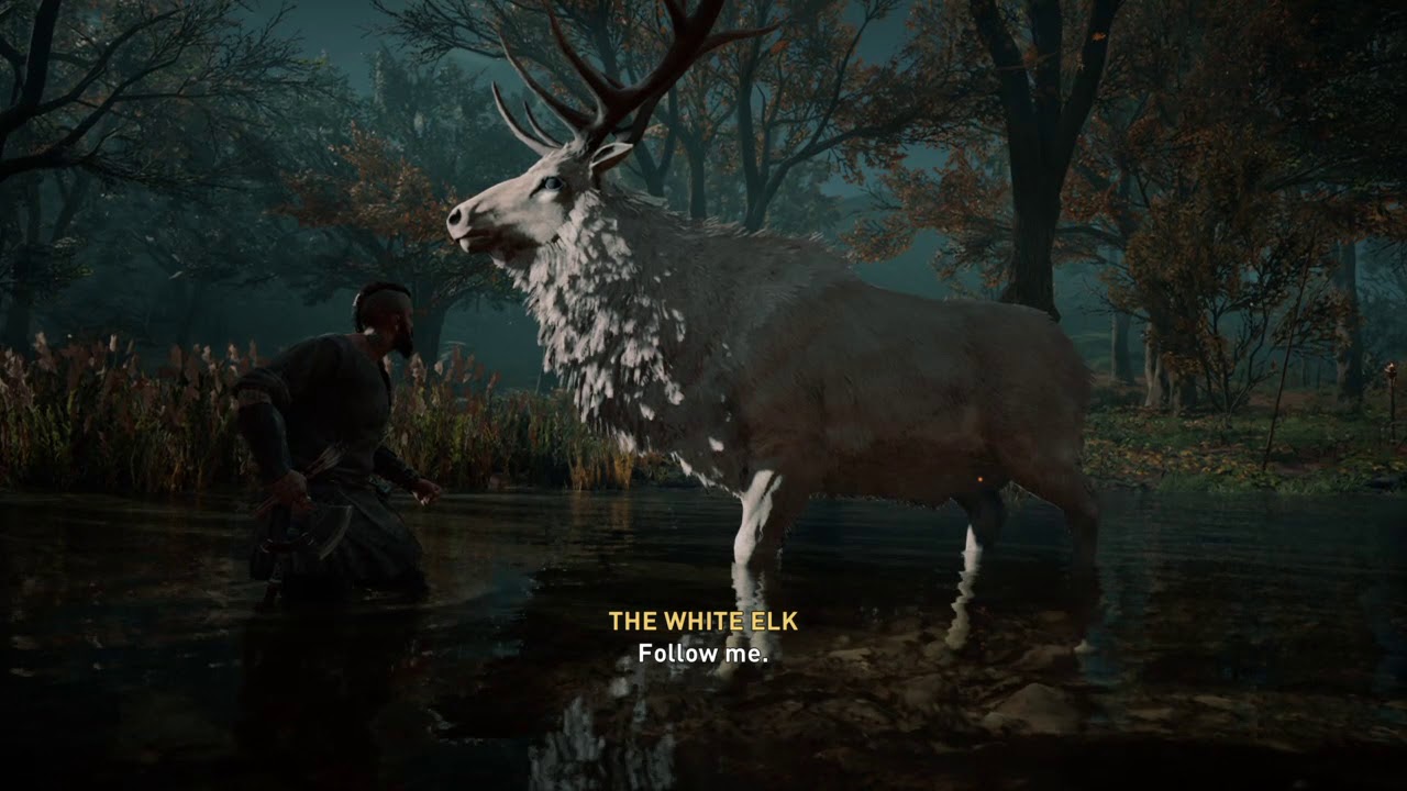 Assassin's Creed® Valhalla Mushrooms YouTube