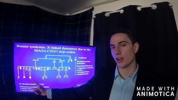 CRIM 500 Presentation: MAOA "The Warrior Gene"