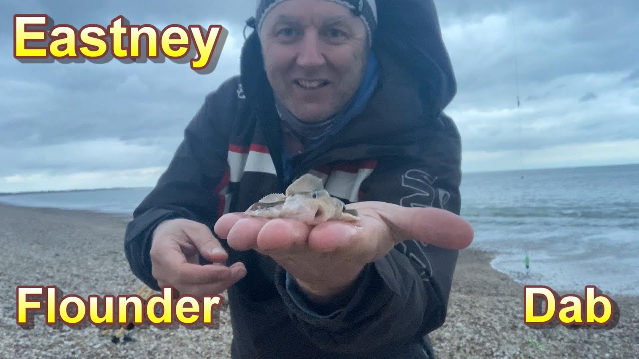 Flounder and dab at Eastney