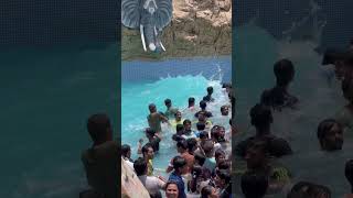 Waterpark😍#yt #ytshorts #shorts #shortvideo #shortsfeed #waterpark #resort #resortvibes #summer