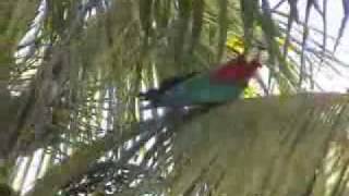 Yours to Discover ( Guyana Part 2 of 9)
