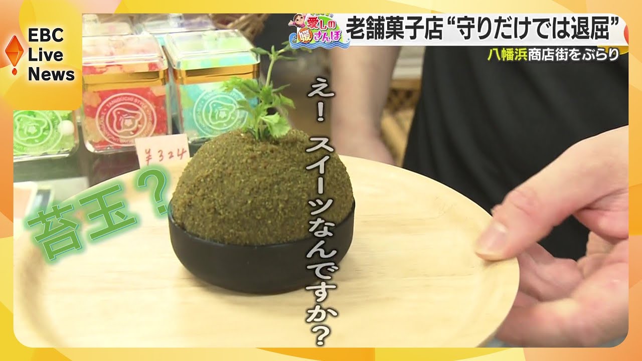 明治から続く老舗も！八幡浜市アーケード商店街をぶらり散歩！老舗と新店舗の魅力を発見【媛さんぽ】