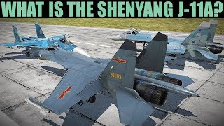 Difference Between Shenyang J-11A And Su-27? | DCS ...