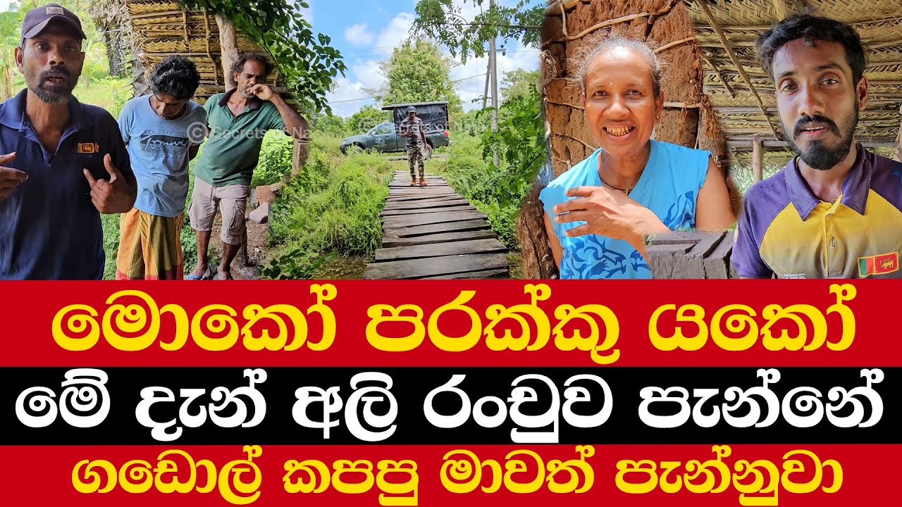 මොකෝ පරක්කු යකෝ  | මේ දැන් අලි රංචුව පැන්නේ | ගඩොල් කපපු මාවත් පැන්නුවා