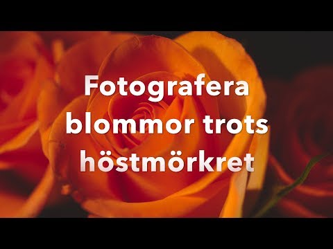 Video: Hur Man Fotograferar Blommor