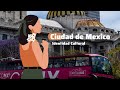 Ciudad de México, Identidad Cultural