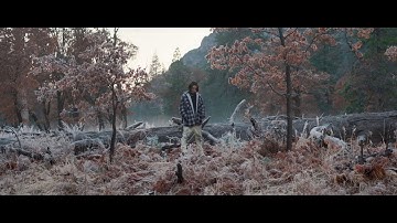 FLESH — Эйфория