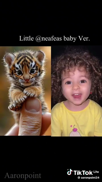 Suara viral hewan anak kecil mbek meong