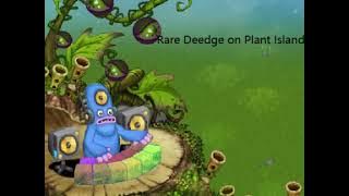 Rare deedge on plant island (2015)