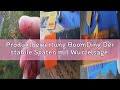 Produktbewertung BoomDing Der stabile Spaten mit Wurzelsäge | Wurzelspaten für das einfache Graben i