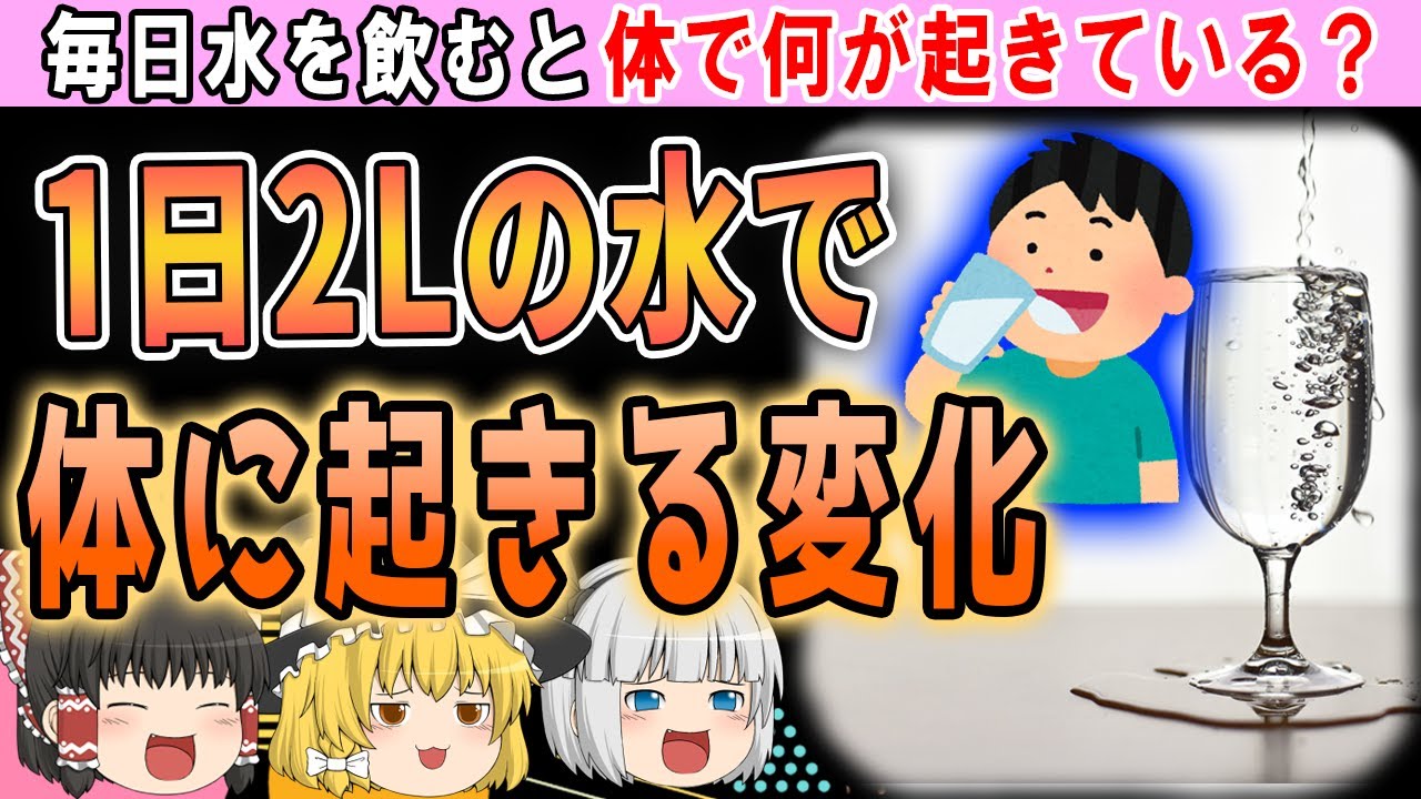 【痩せる？若返る？】毎日水を2L飲むと体で起きている変化とは【ゆっくり解説】