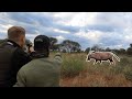 STARKER ORYX in Namibia | Copterpro auf JAGD in Afrika (Drohnen für Nachsuche?)