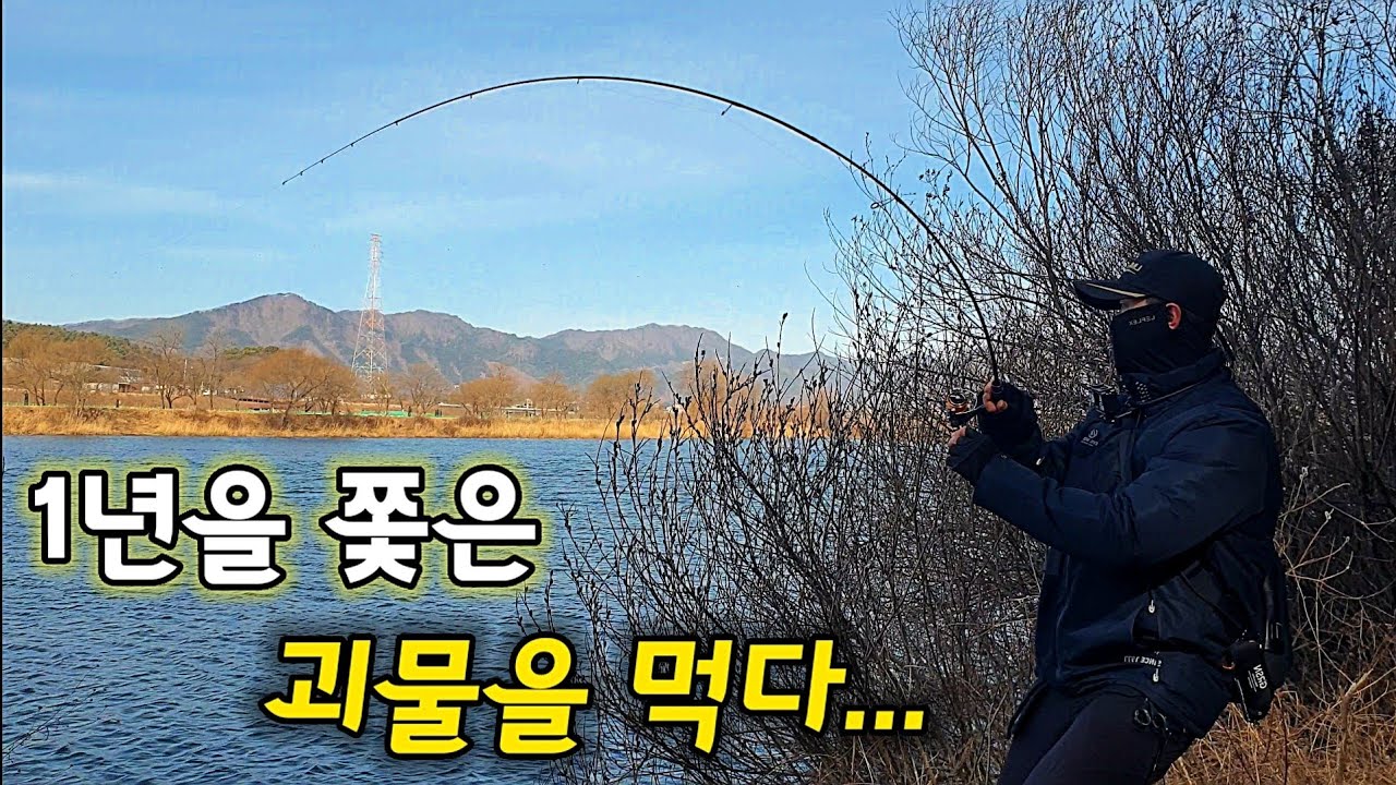 드디어 사고쳤다! 최대 1m 초대형 괴물을 잡아서 먹어보자! 포인트공개 잡는 방법까지 영상하나로 끝