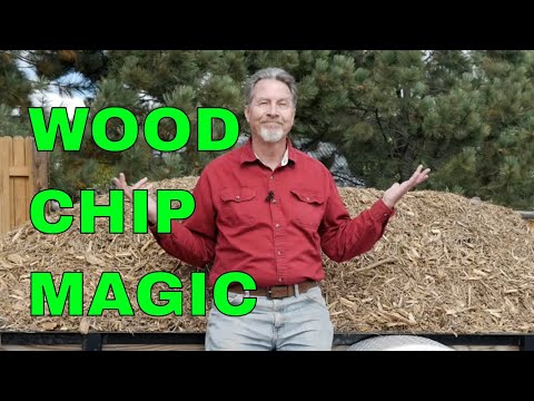 Video: Voordelen van houtmulch - zijn houtsnippers goede mulch voor tuinen