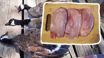 How to Clean a Wild Goose ..... Canadian Geese