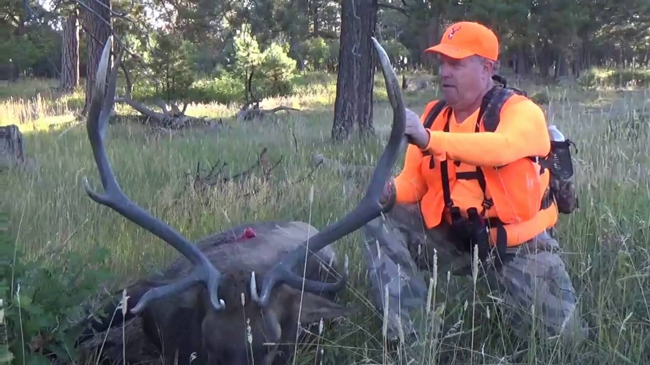 2016 Colorado Elk Hunt YouTube