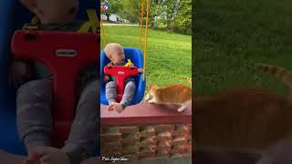 You Laugh You Restart 😂 New😂🤣🐶😺#funnyanimals #cutepets #pets #shorts #virals