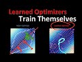 Training more effective learned optimizers, and using them to train themselves (Paper Explained)