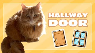 Hallway Door | Early Question Answering with Justin