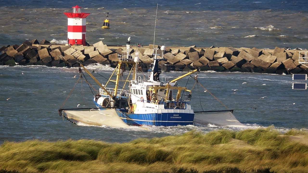 New sch-18 boeier naar de garnalen bestekken, scheveningen 2-10 -2018