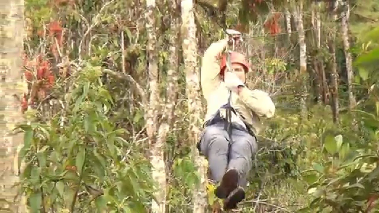 CANOPY EXTREMO OXAPAMPA