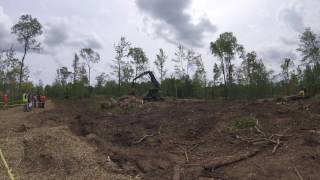 Deere 803MH with Waratah 623C and 748L Skidder