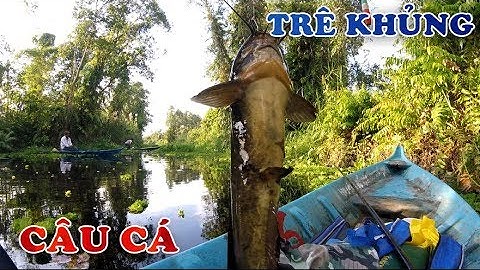 Câu Cá Dã Ngoại | Câu Dính Cá Trê To Béo Ngậy Ở U Minh Thượng Kiên Giang