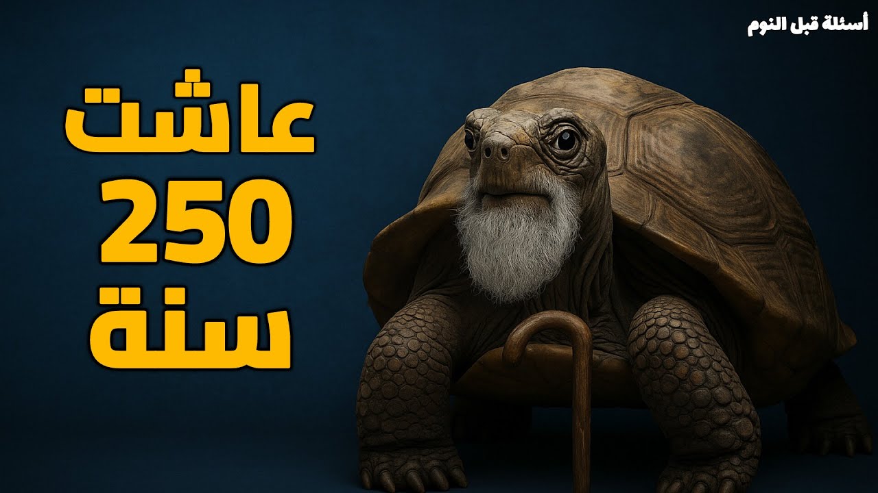 لماذا تعيش السلحفاة عمرا طويلا؟ السلحفاة التي هزمت الزمن