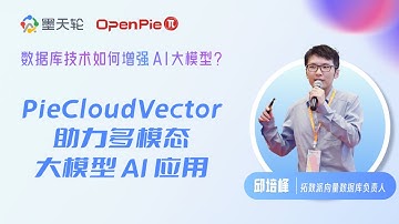 The Cloud Native Vector Database PieCloudVector Empowers Multimodal AI Applications