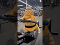 Cat Does Cardio at the Gym