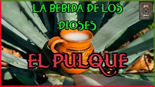 LA BEBIDA DE LOS DIOSES, EL PULQUE!!!!!