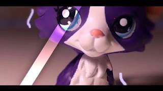 lps|dixie boy 05