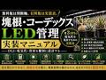 塊根植物のLED管理で電気代が高い理由|DLI・PPFD・徒長・肥大不足を棚別に見直す