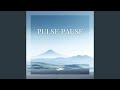 Pulse Pause Night mp3