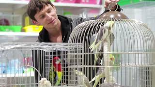 National Pet Week 2024 - Lifetime of Care for a Lifetime of Love