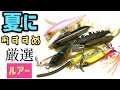 【バス釣り】夏のオカッパリ爆釣ルアー教えます！