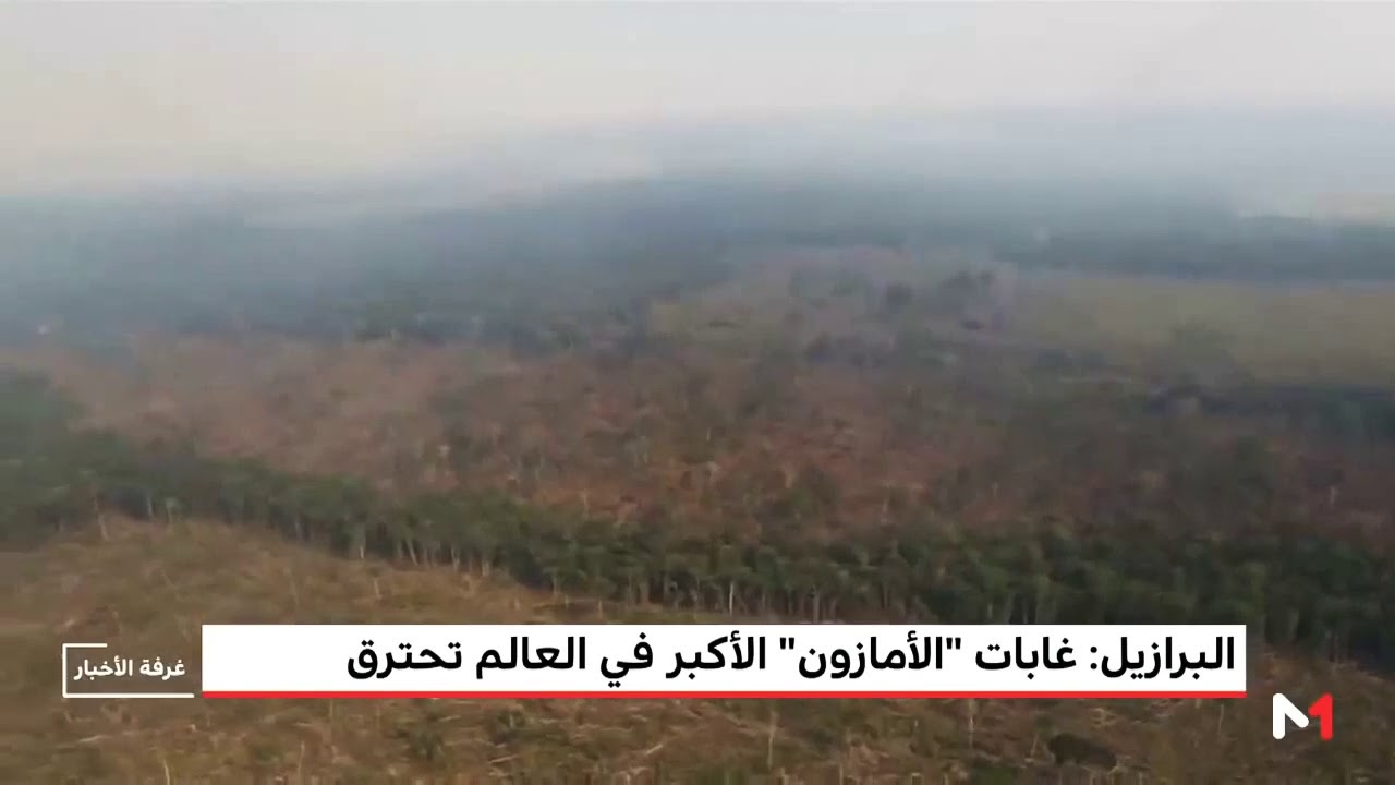 شاهد كافة الأجهزة تعجز عن إطفاء حريق غابات الأمازون رئة