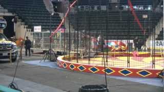 Shrine Circus Tigers 2012 Pt 3