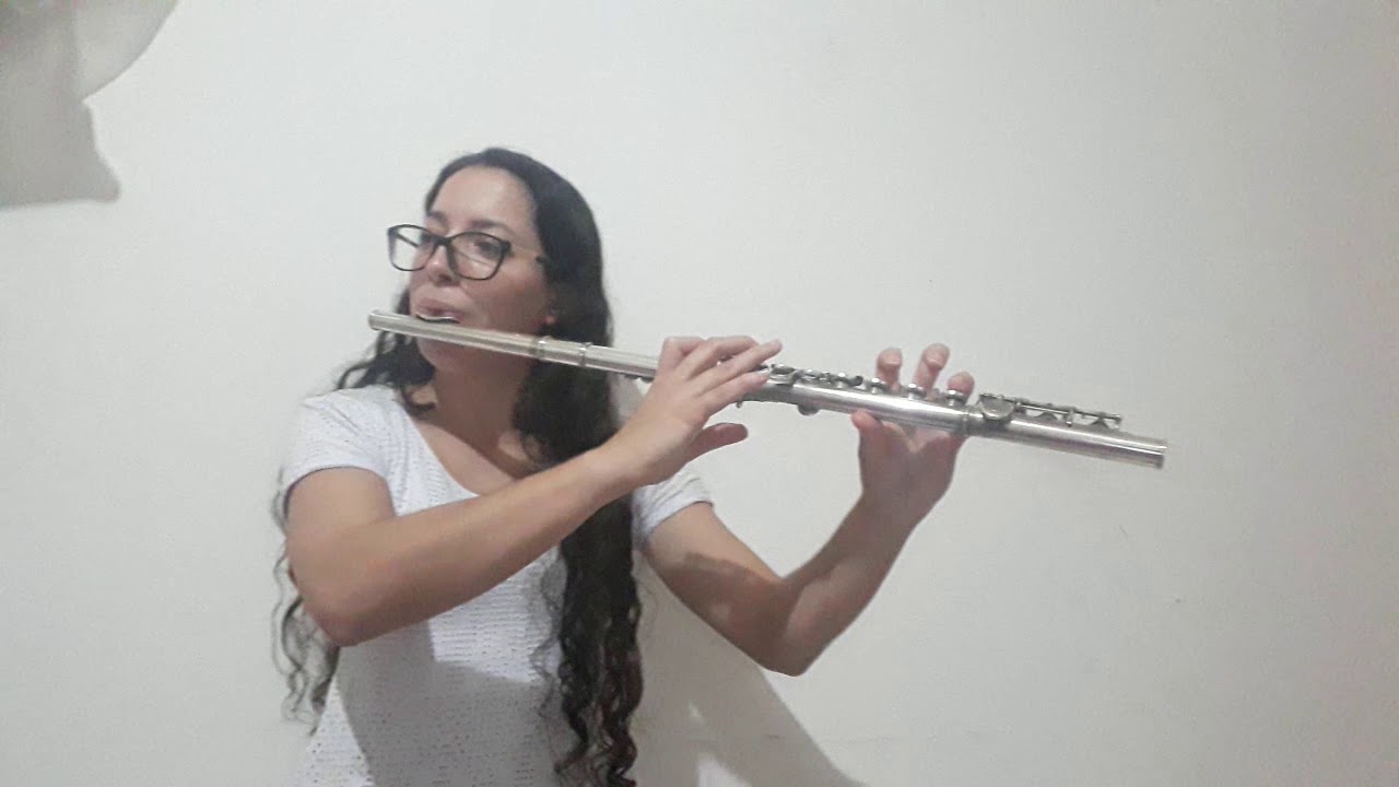 backstreet boys as long as you love me cover flute