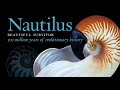 Nautilus:  Beautiful Survivor. 500 million years of evolutionary history