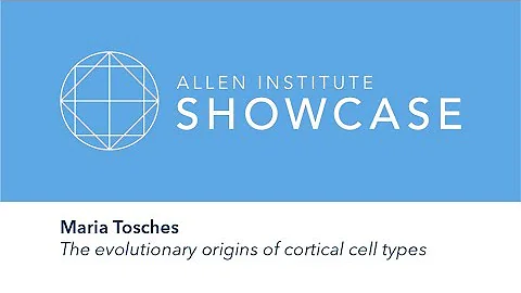 Maria Tosches | 2019 Allen Showcase Symposium