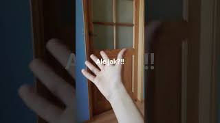 Ten jeden raz gdy oglądałeś tik rola #trending #funny #like #spanie