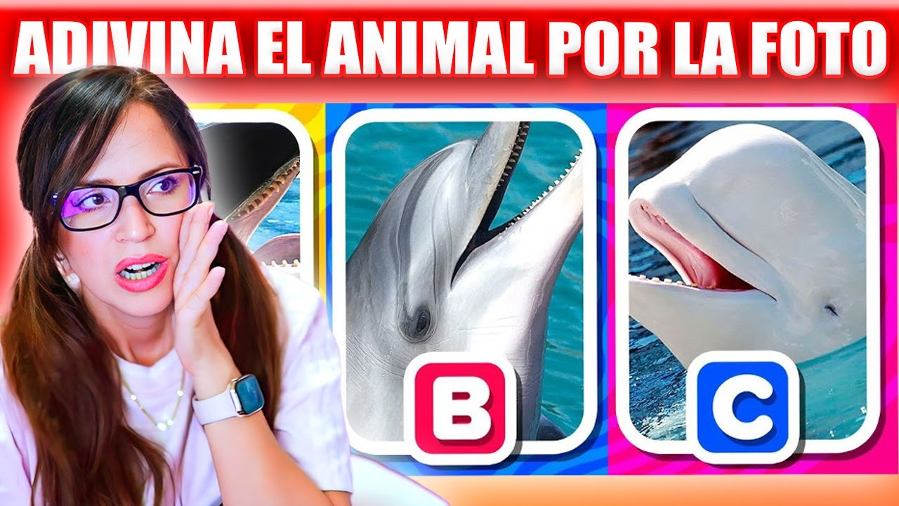 Qué Animal Es? 🤔 ADIVINA EL ANIMAL POR LA FOTO 😅 Sandra Cires Play