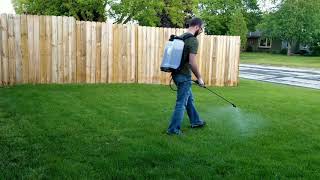 How To Kill Weeds   Spray Lawn Weeds With Tenacity