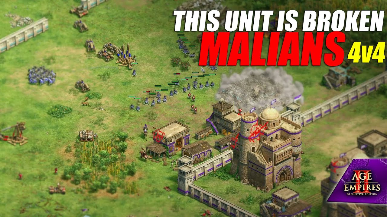 Malians Full Power Push Enemy Had No Chance  AoE2