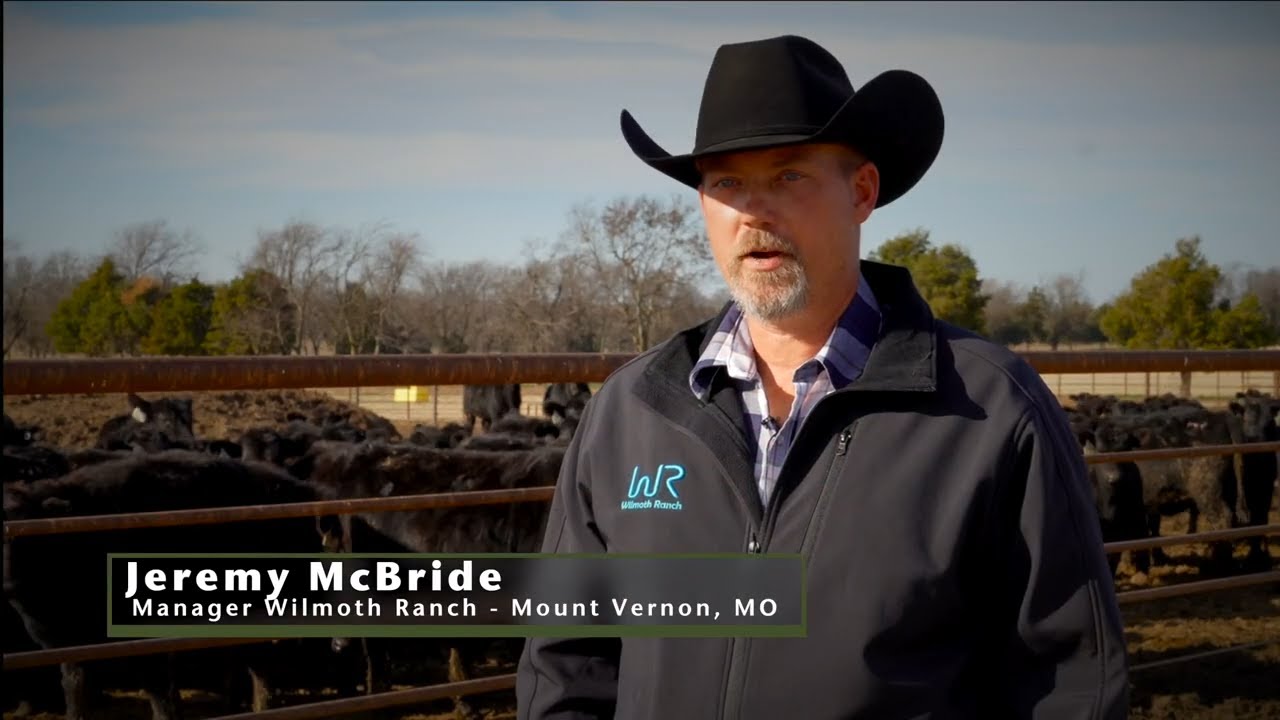 FerAppease Use in Adverse Weather Conditions - YouTube